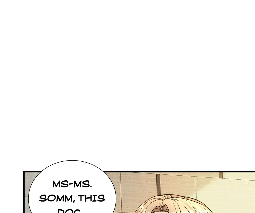 The Man Is A Real Dog Chapter 42 page 75 - 