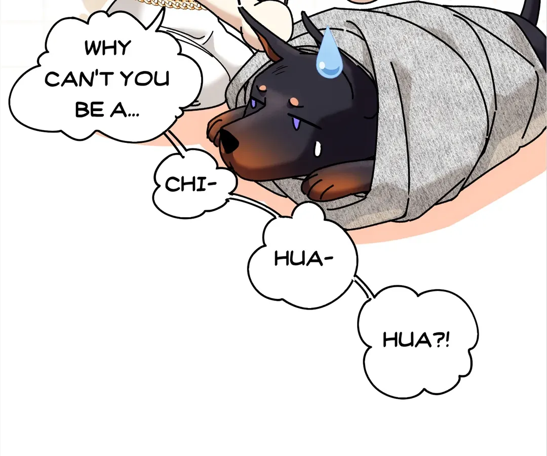 The Man Is A Real Dog Chapter 42 page 97 - 