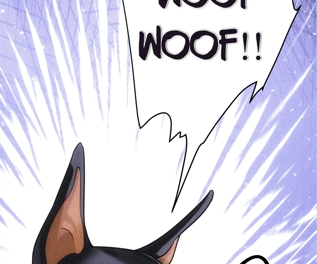 The Man Is A Real Dog Chapter 47 page 35 - 