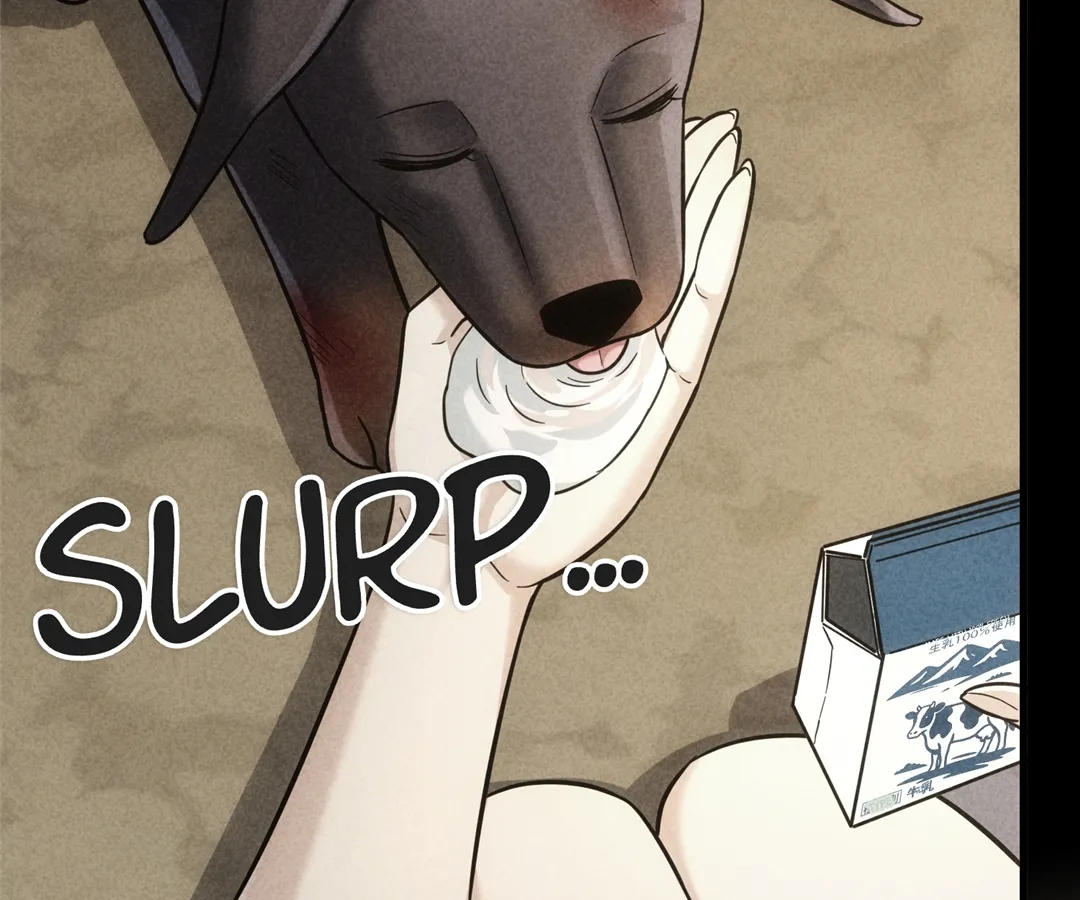 The Man Is A Real Dog Chapter 47 page 73 - 
