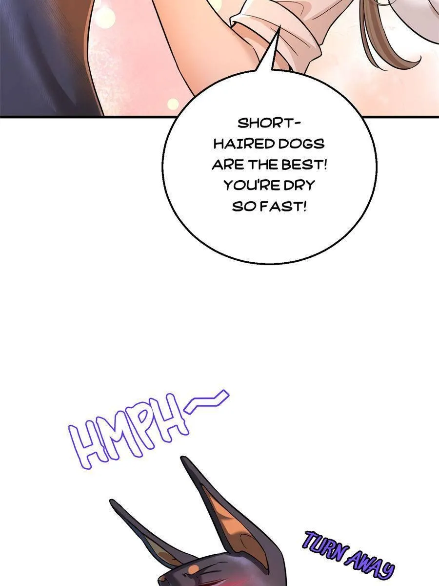 The Man Is A Real Dog Chapter 8 page 19 - 