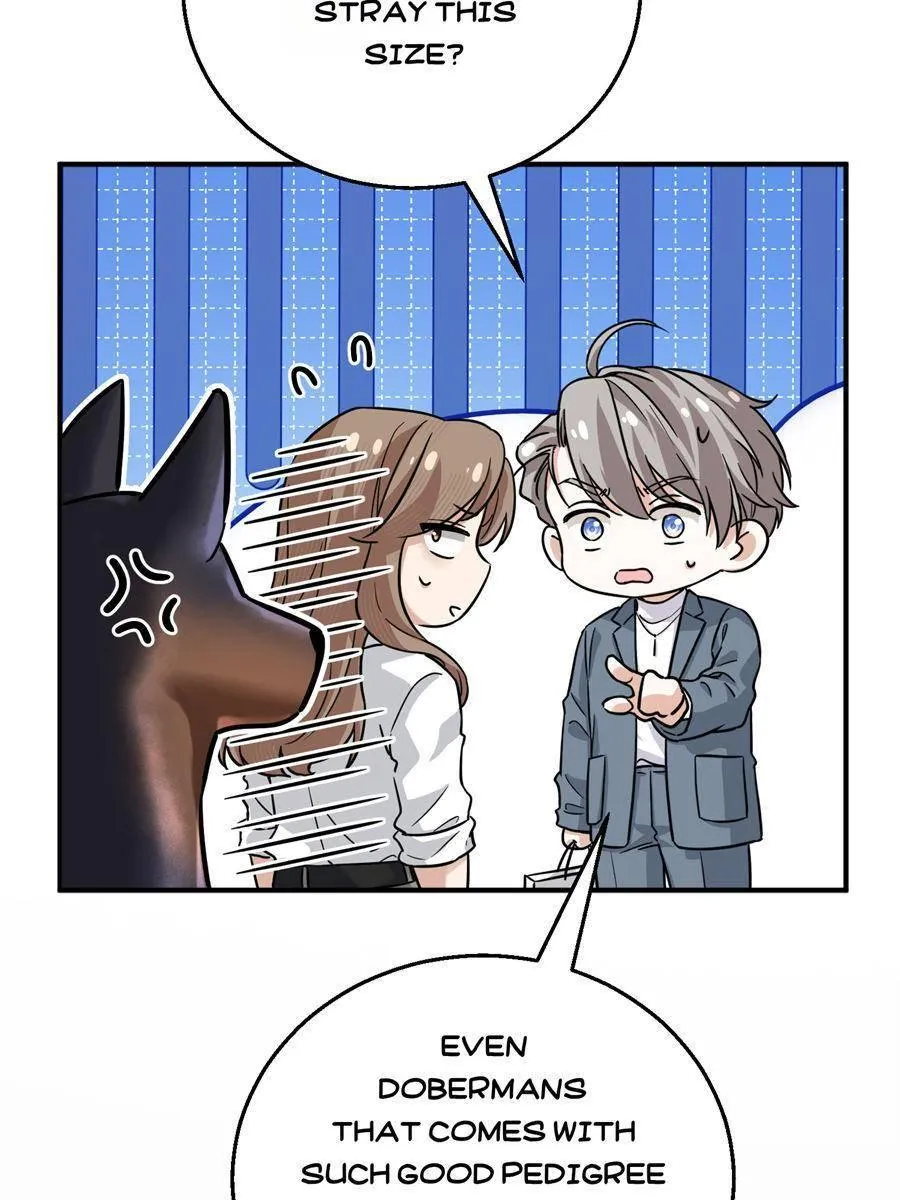 The Man Is A Real Dog Chapter 9 page 19 - 