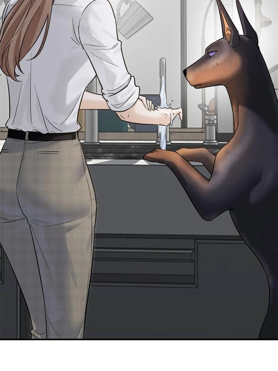 The Man Is A Real Dog Chapter 9 page 35 - 