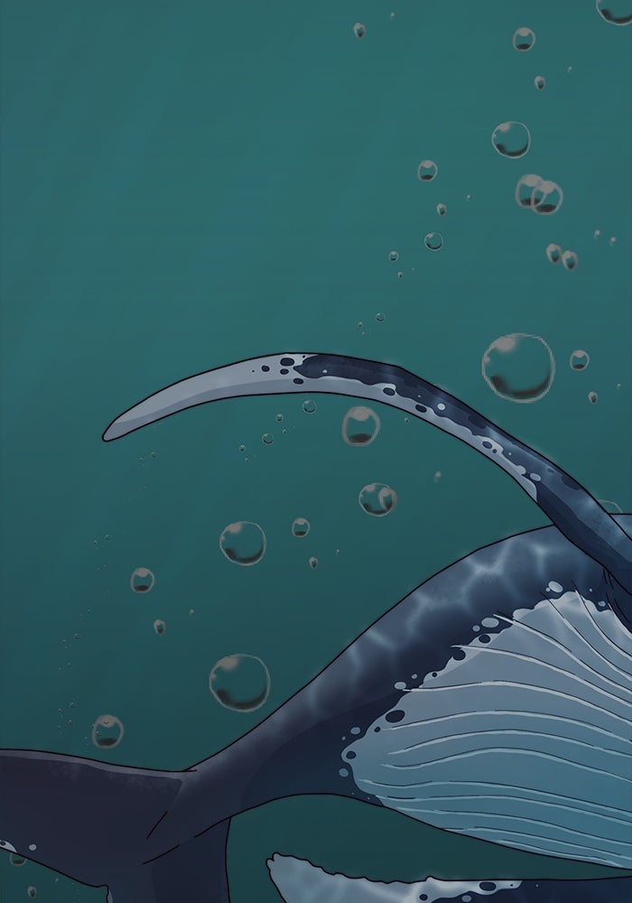 Read The Man chapter 206 image 3 on Lezhin