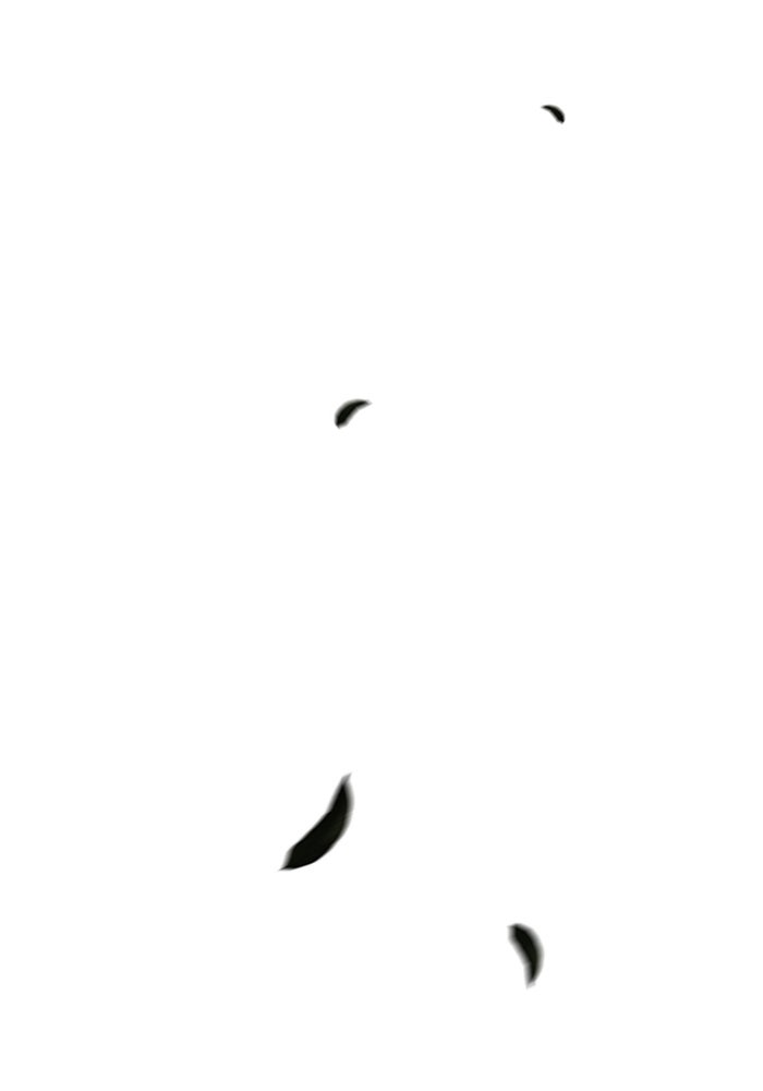 Read The Man chapter 223 image 76 on Lezhin