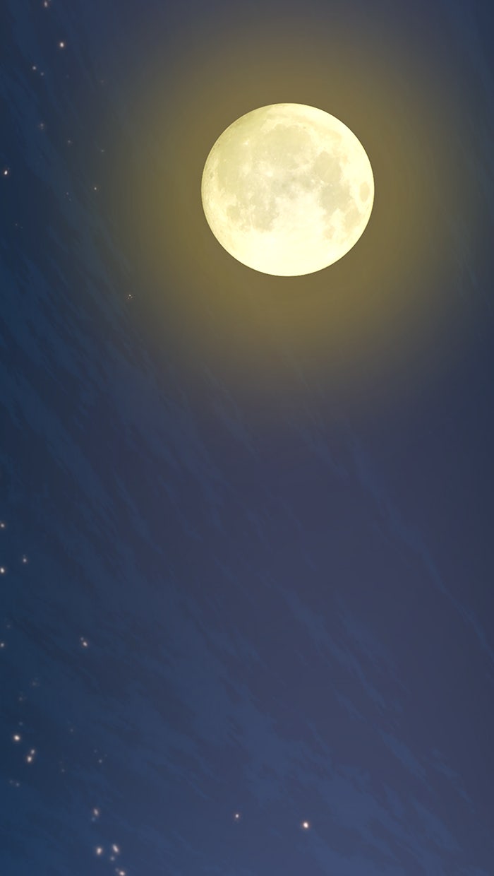Read The Man chapter 6 image 55 on Lezhin