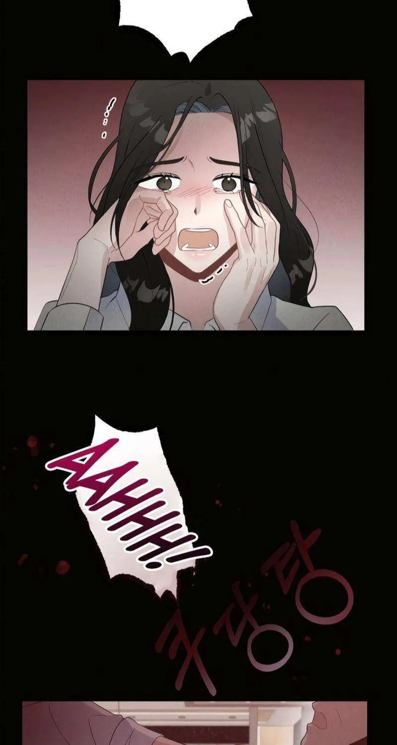 The Man’s Scheme Chapter 6 page 22 - 