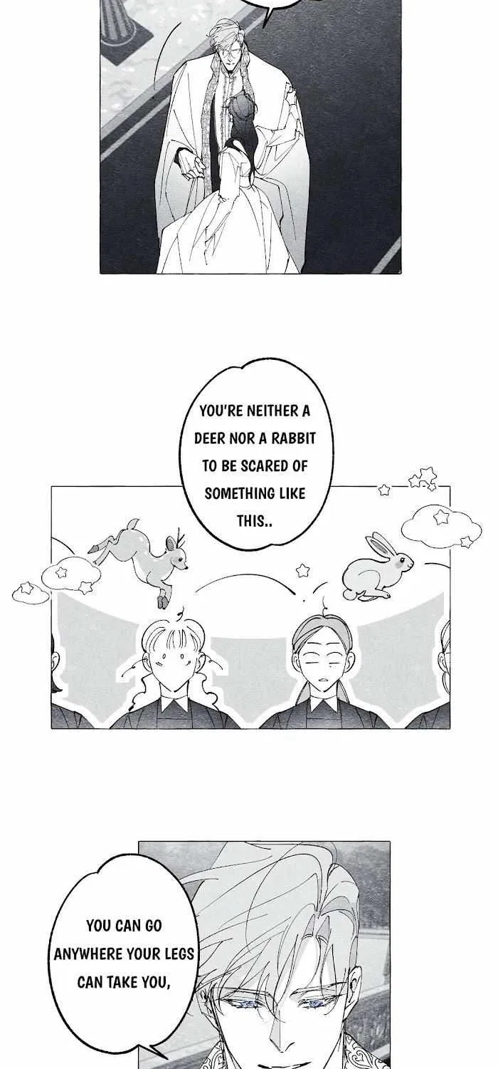 Read The Masquerade chapter 20 image 12 on Lezhin