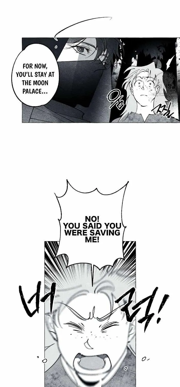 Read The Masquerade chapter 21 image 20 on Lezhin