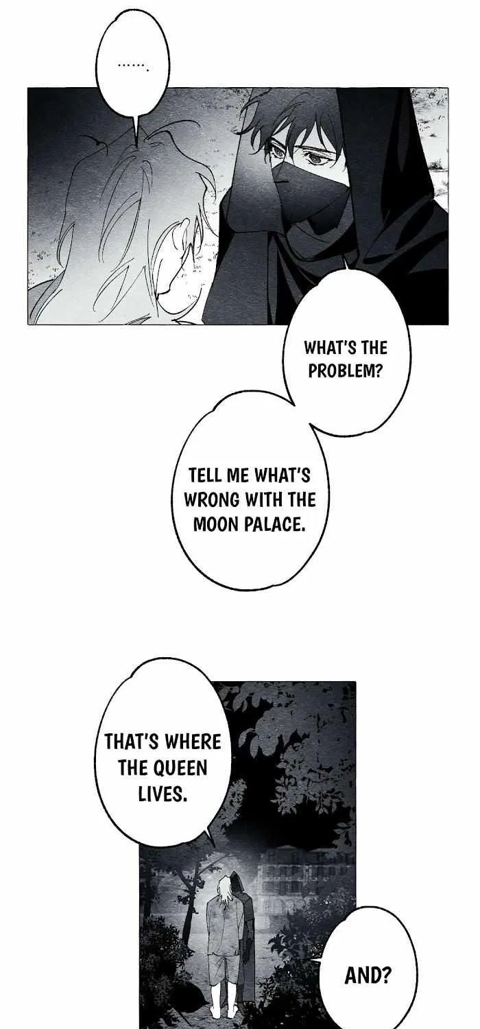 Read The Masquerade chapter 21 image 23 on Lezhin