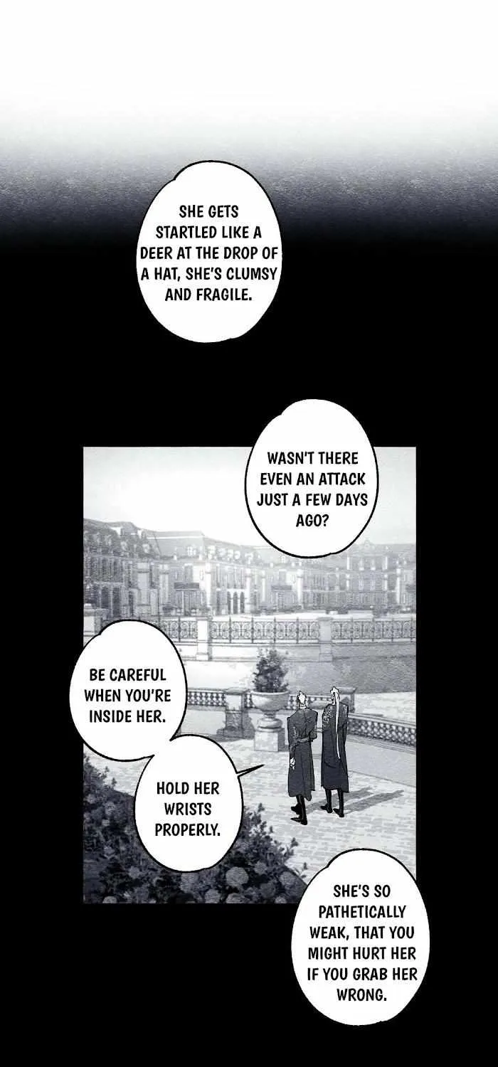 Read The Masquerade chapter 27 image 5 on Lezhin