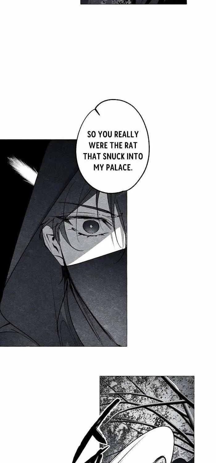 Read The Masquerade chapter 29 image 3 on Lezhin