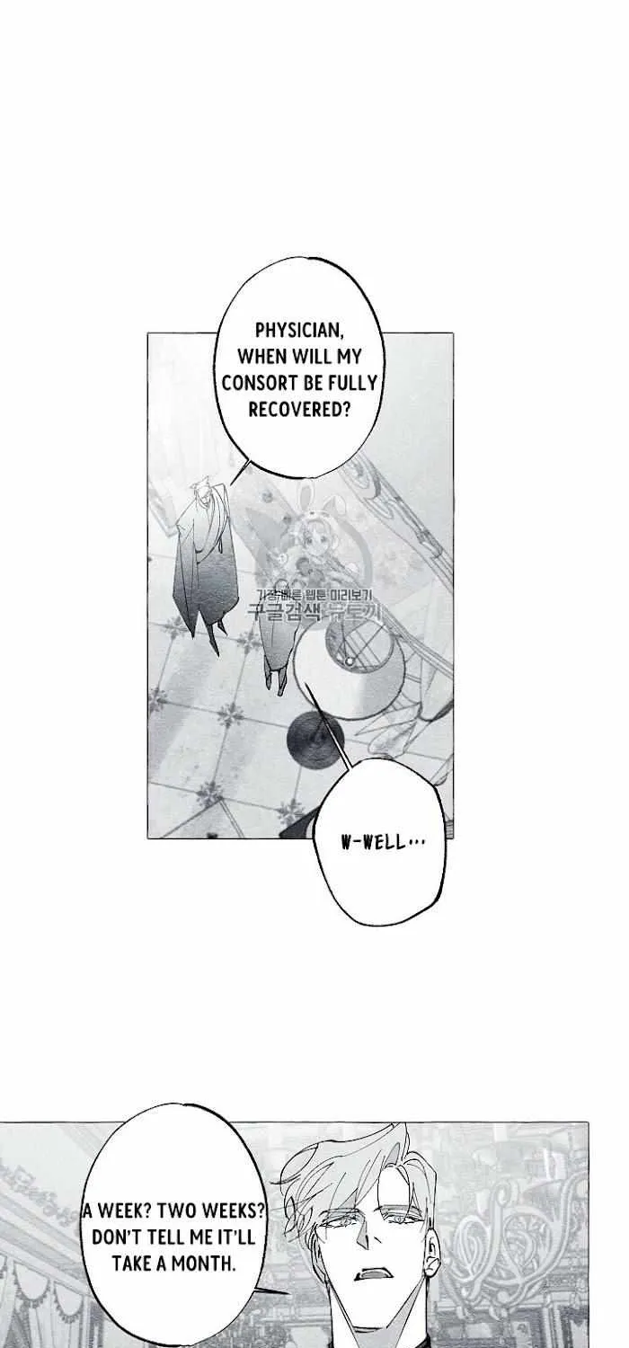 Read The Masquerade chapter 35 image 2 on Lezhin