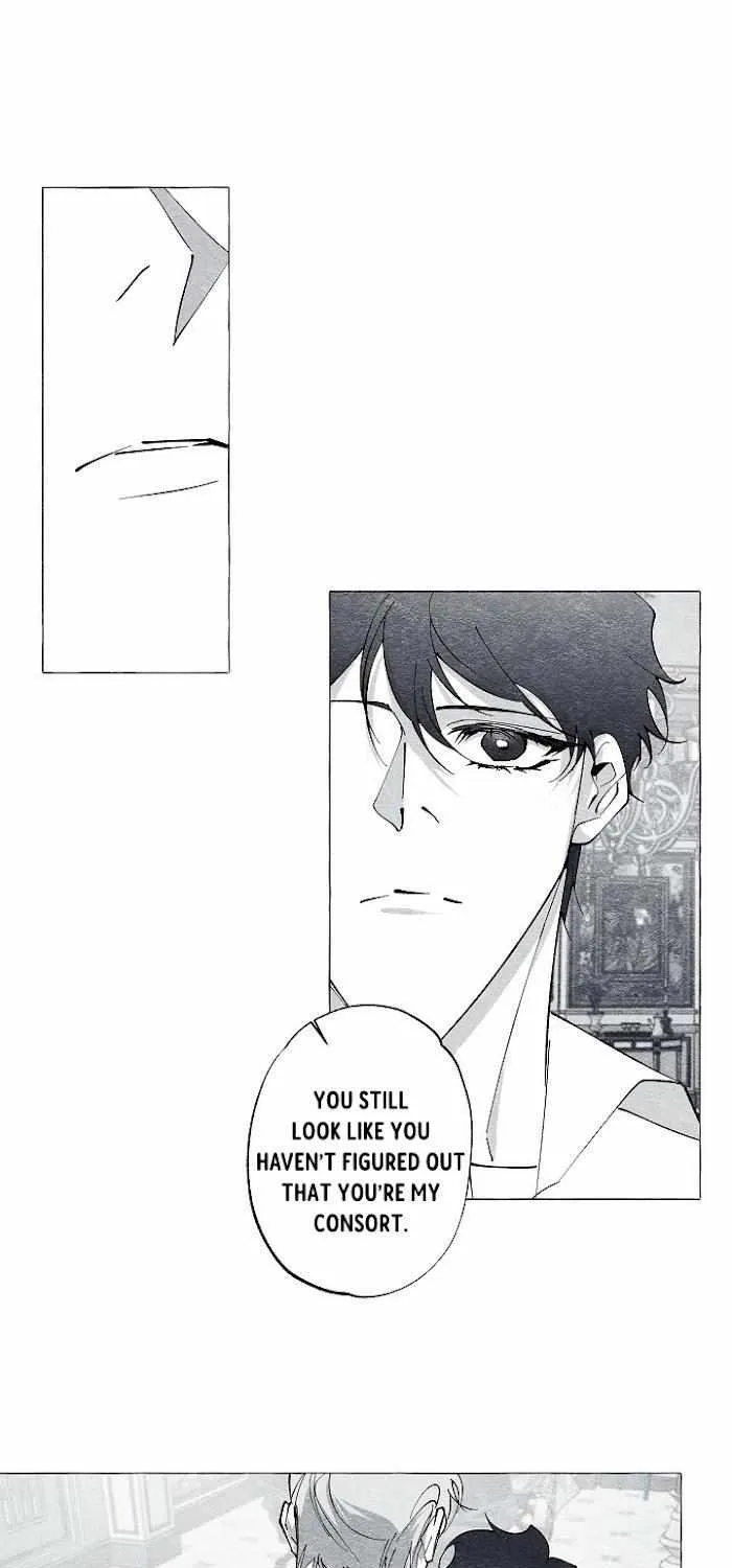 Read The Masquerade chapter 36 image 42 on Lezhin