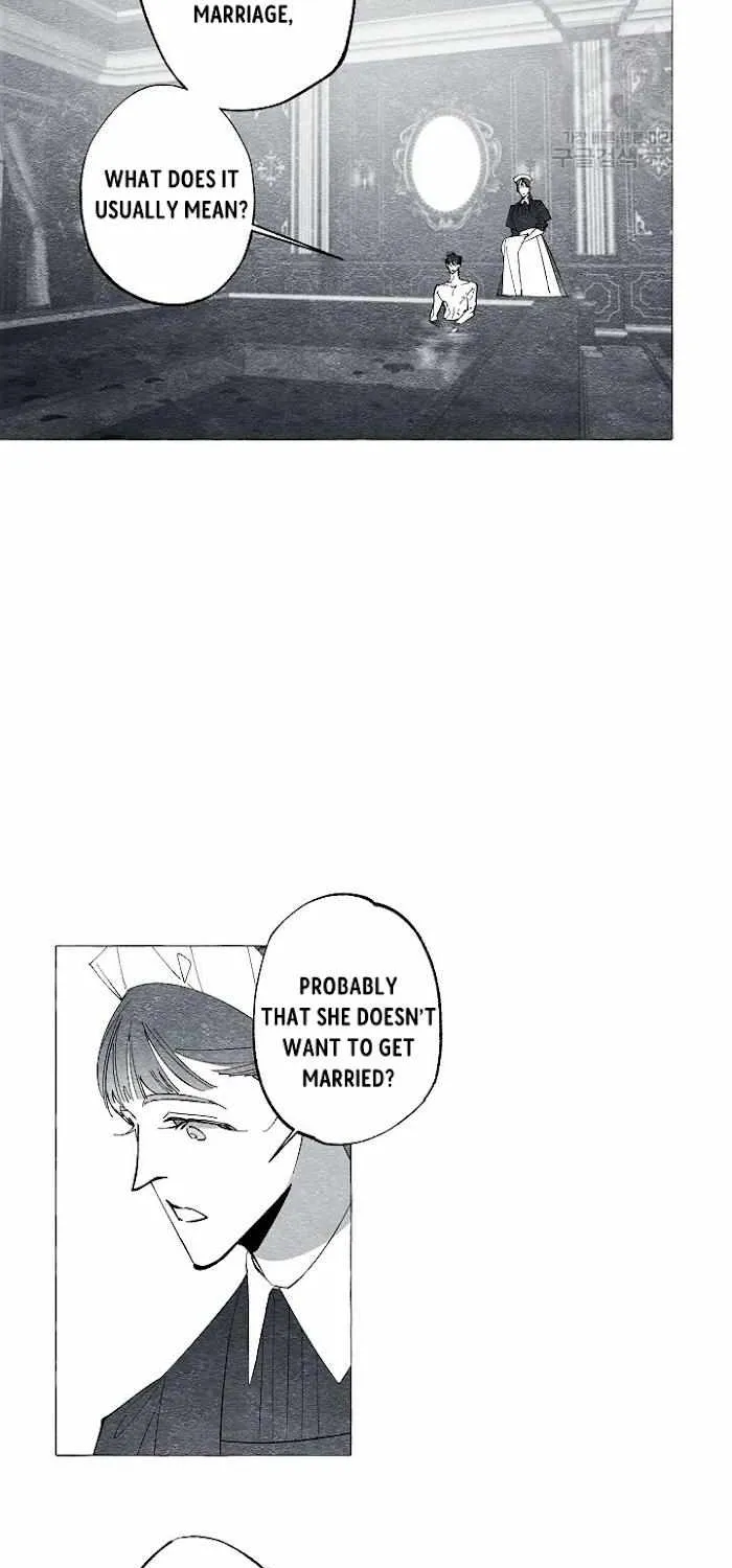 Read The Masquerade chapter 37 image 24 on Lezhin