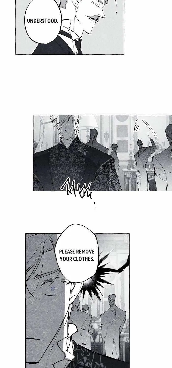 Read The Masquerade chapter 37 image 3 on Lezhin