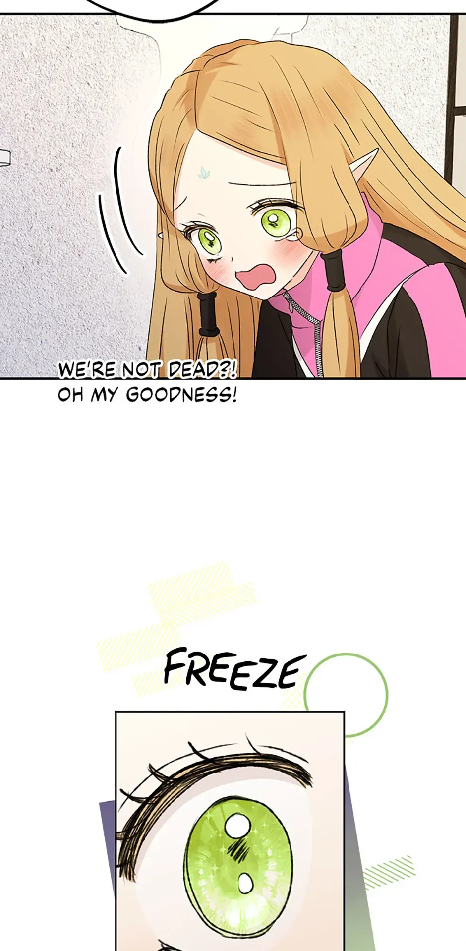 The Mating of Elves Chapter 21 page 68 - 