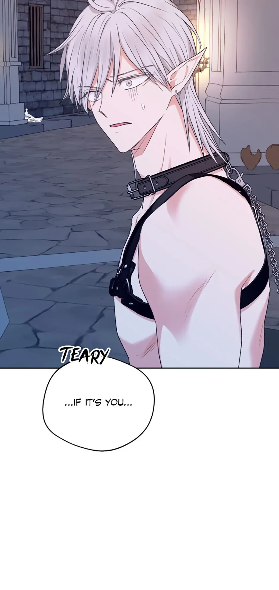 The Mating of Elves Chapter 32 page 17 - 