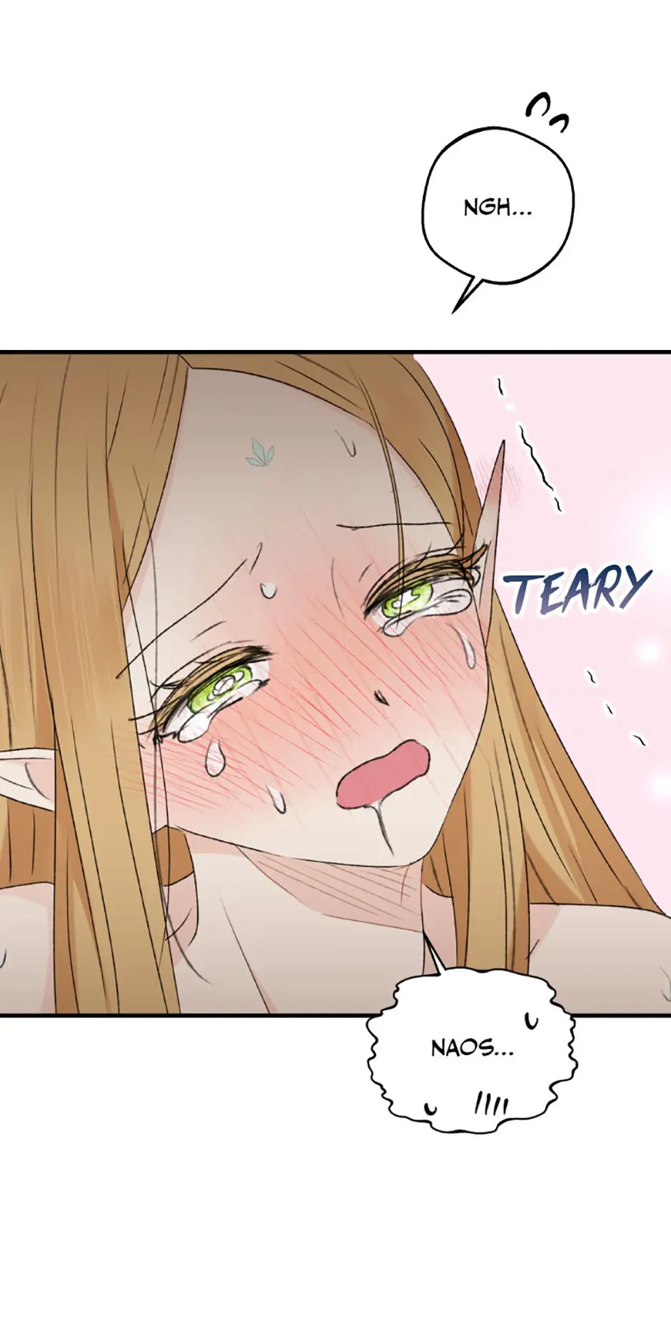 The Mating of Elves Chapter 35 page 78 - 