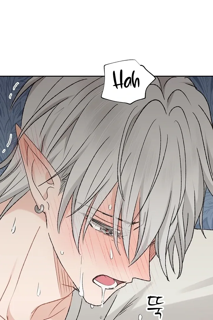The Mating of Elves Chapter 40 page 34 - 