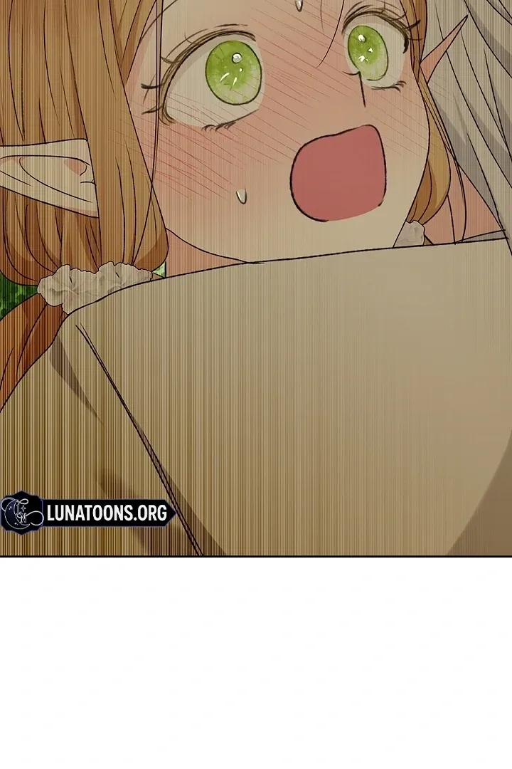 The Mating of Elves Chapter 40 page 45 - 