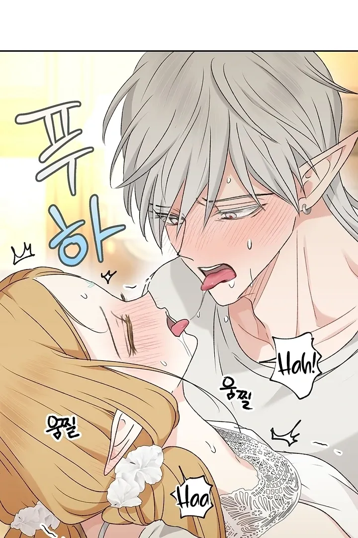 The Mating of Elves Chapter 40 page 62 - 