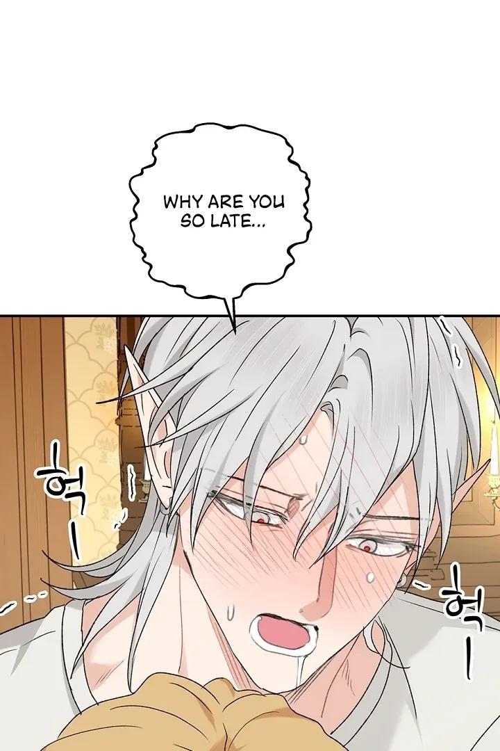The Mating of Elves Chapter 40 page 65 - 