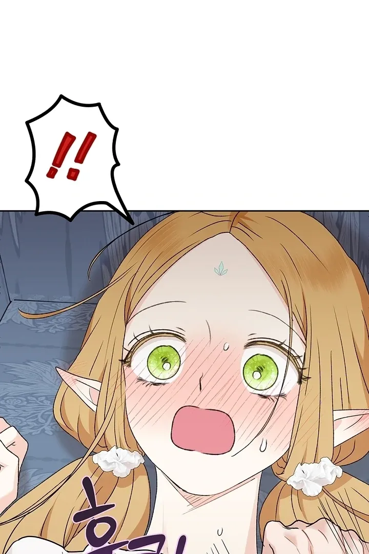 The Mating of Elves Chapter 40 page 71 - 