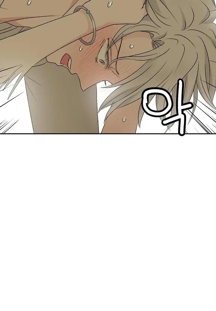 The Mating of Elves Chapter 40 page 81 - 