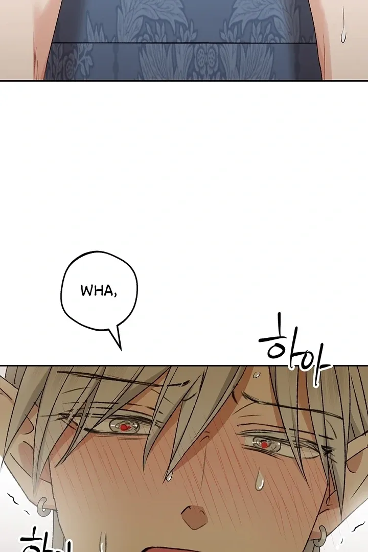 The Mating of Elves Chapter 40 page 90 - 