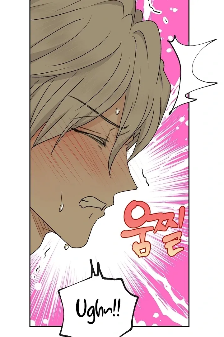 The Mating of Elves Chapter 40 page 100 - 