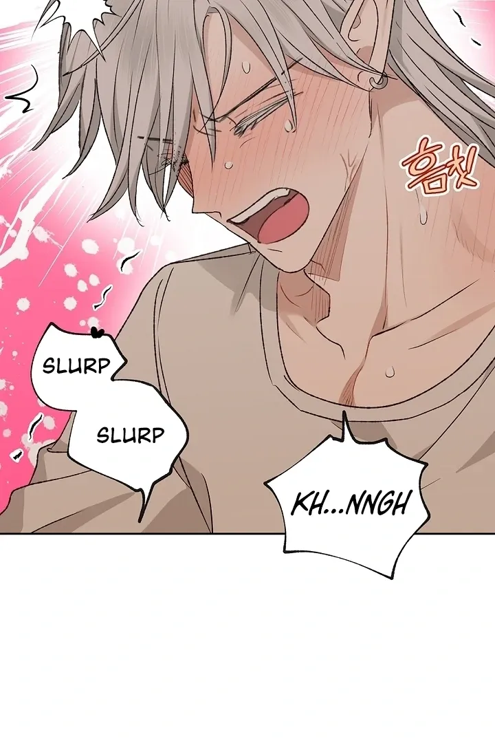 The Mating of Elves Chapter 41 page 62 - 