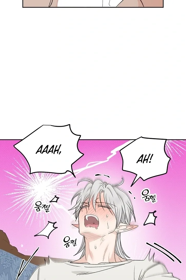 The Mating of Elves Chapter 41 page 67 - 