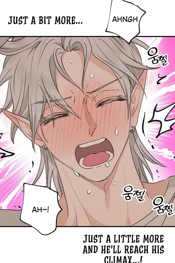 The Mating of Elves Chapter 41 page 80 - 