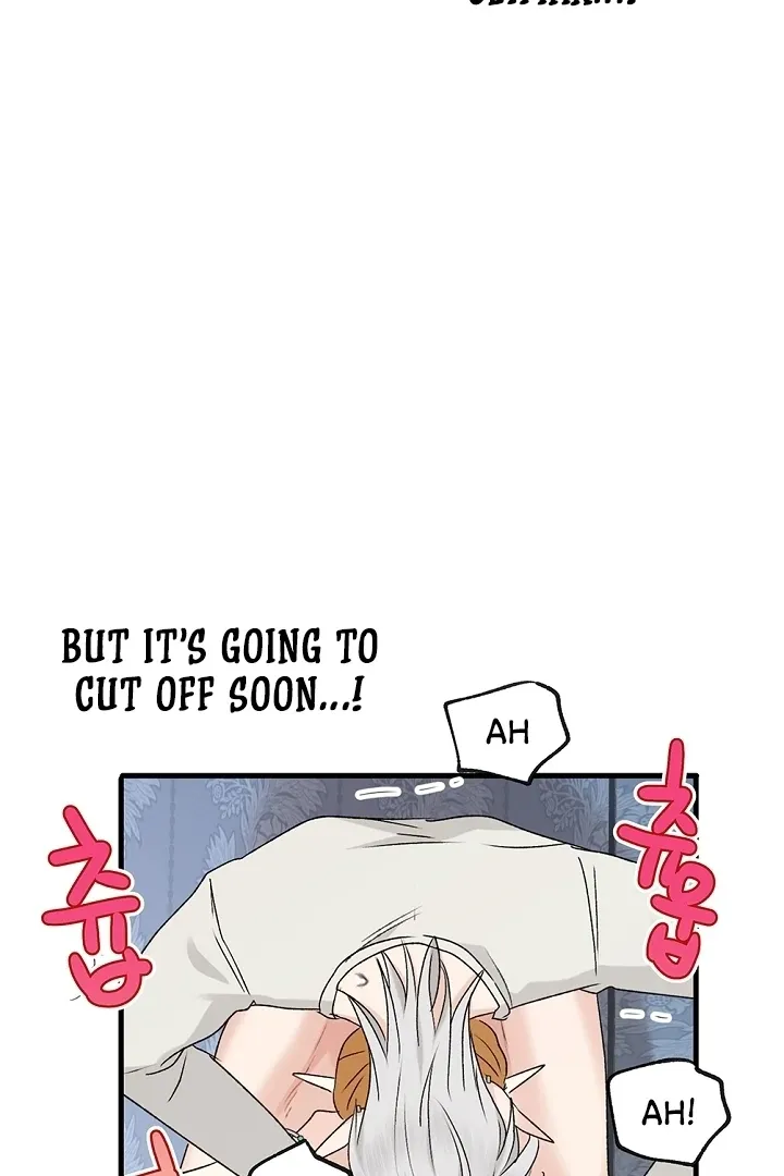 The Mating of Elves Chapter 41 page 81 - 