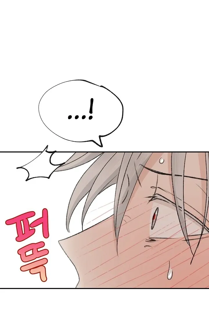 The Mating of Elves Chapter 41 page 91 - 