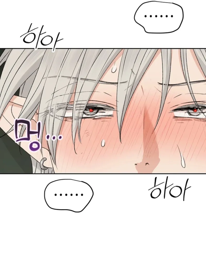 The Mating of Elves Chapter 43 page 12 - 