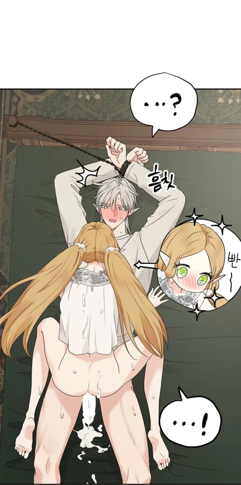 The Mating of Elves Chapter 43 page 13 - 