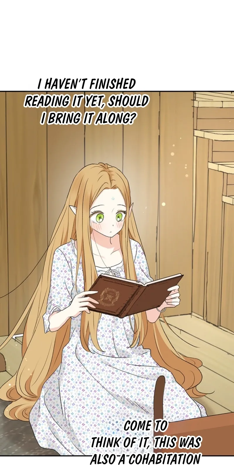 The Mating of Elves Chapter 43 page 97 - 