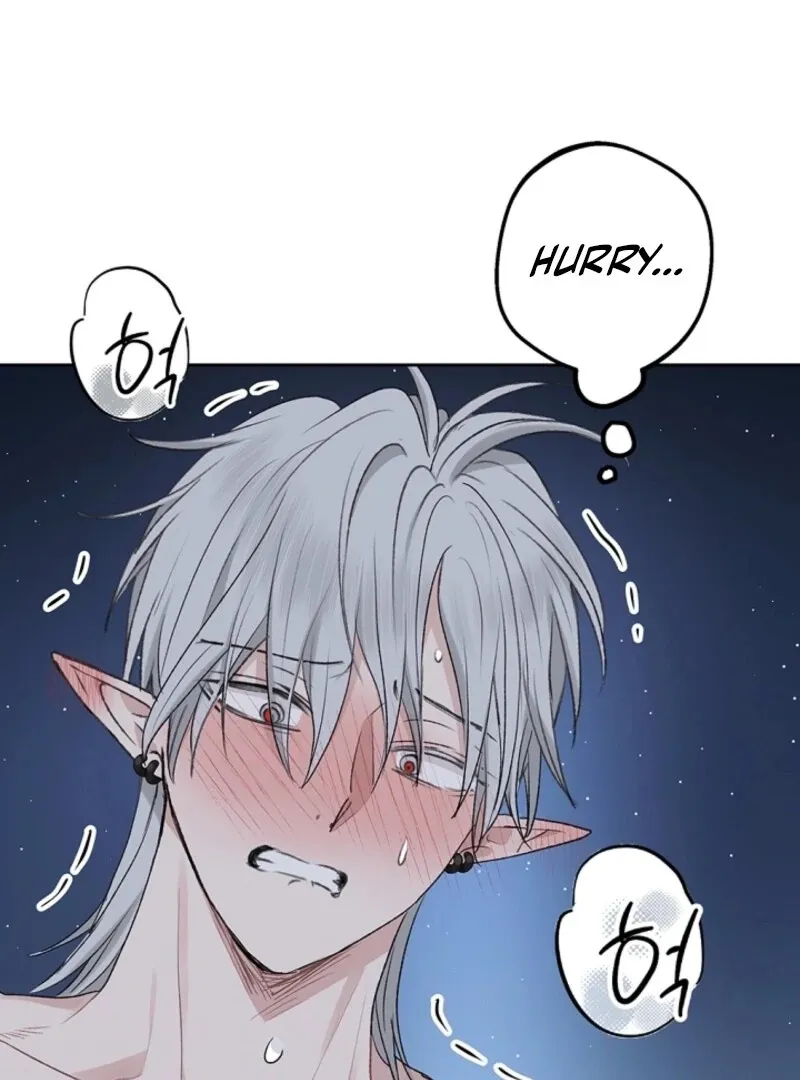 The Mating of Elves Chapter 47 page 97 - 