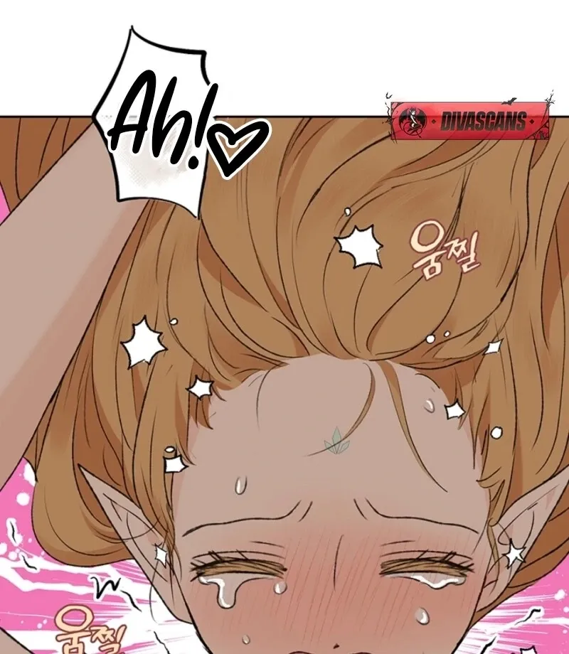 The Mating of Elves Chapter 48 page 38 - 