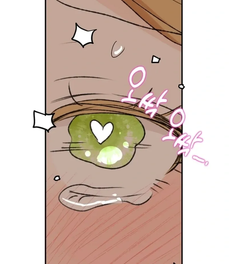 The Mating of Elves Chapter 48 page 51 - 