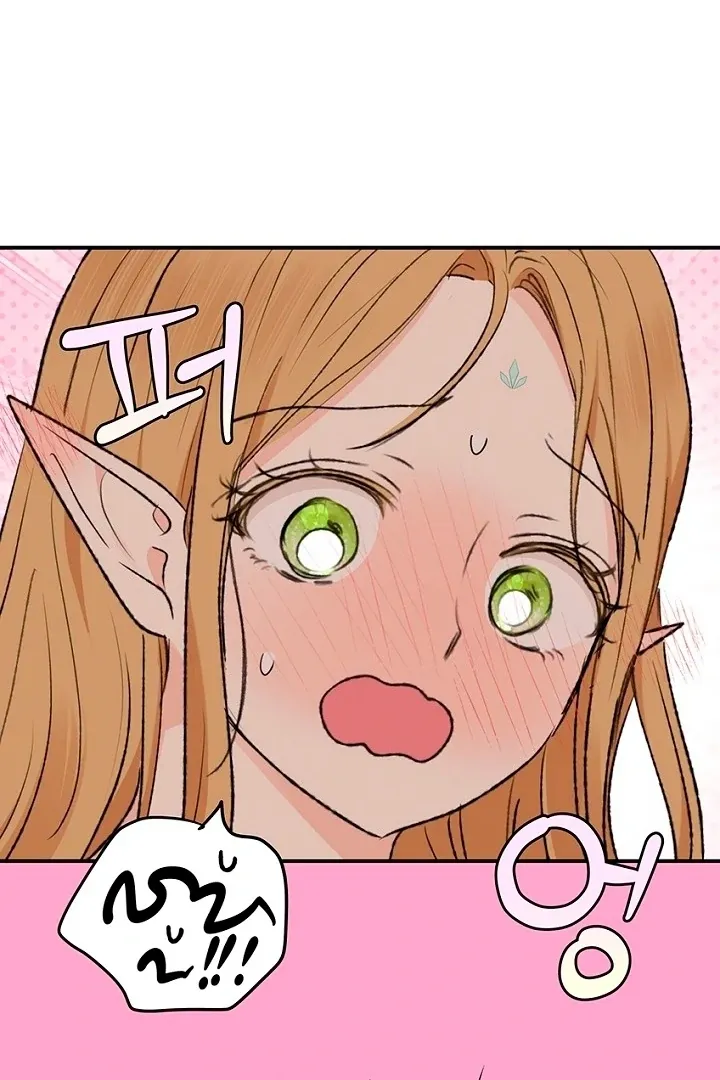 The Mating of Elves Chapter 49 page 104 - 