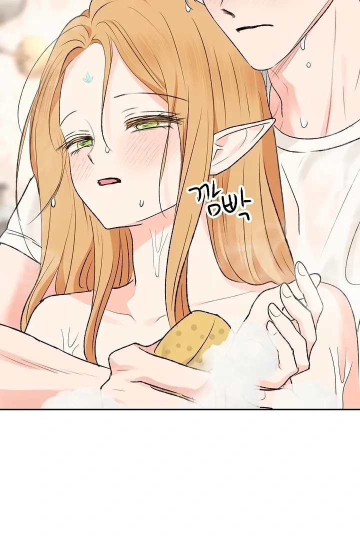 The Mating of Elves Chapter 49 page 76 - 