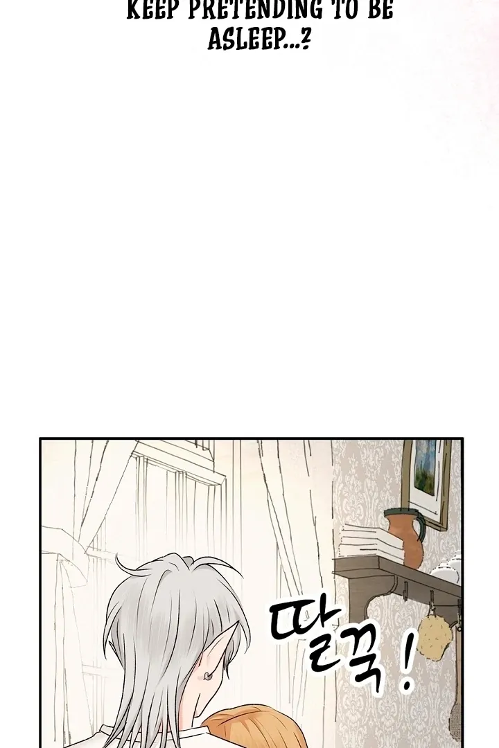 The Mating of Elves Chapter 49 page 80 - 
