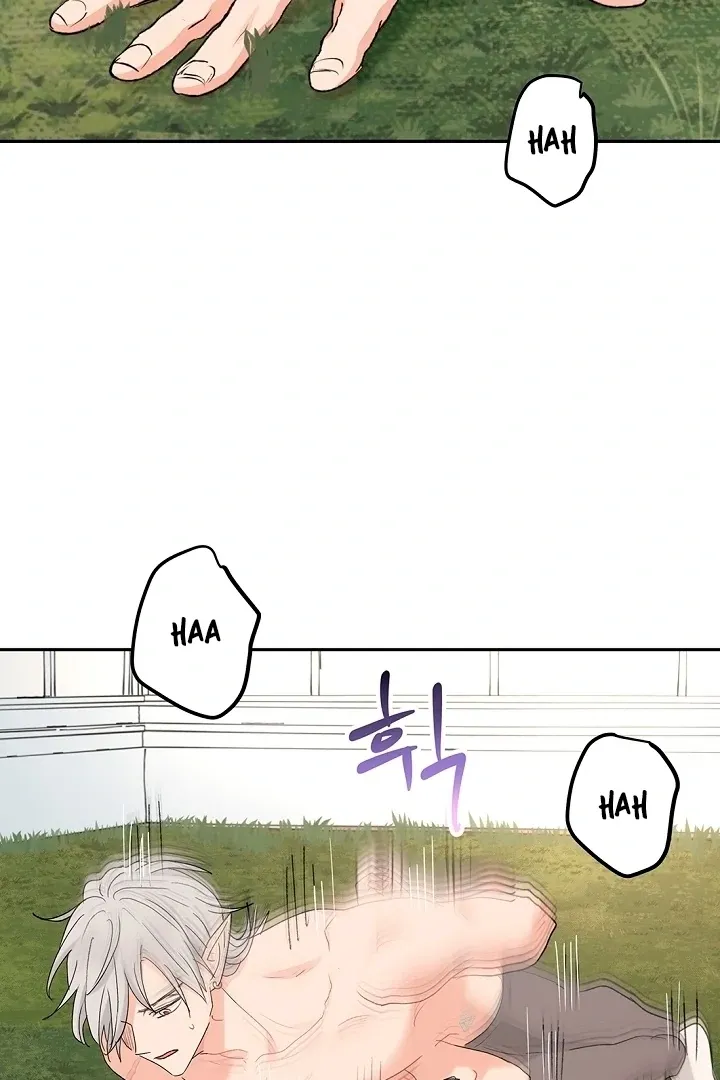 The Mating of Elves Chapter 50 page 22 - 