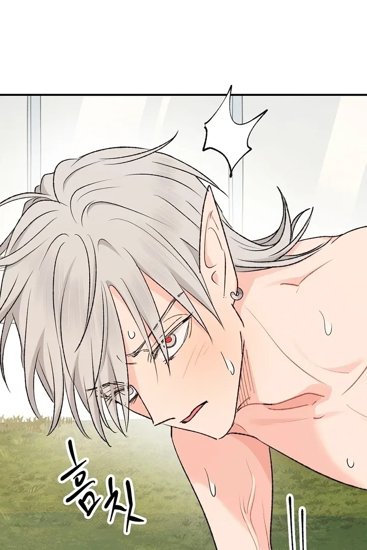 The Mating of Elves Chapter 50 page 25 - 