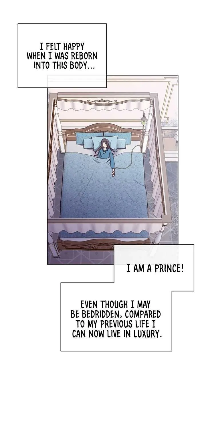 Read The Max Level Hero Has Returned! chapter 1 image 41 on Lezhin
