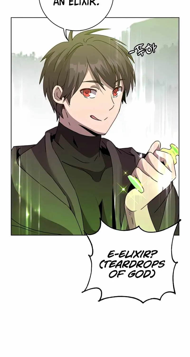 Read The Max Level Hero Has Returned! chapter 115 image 28 on Lezhin