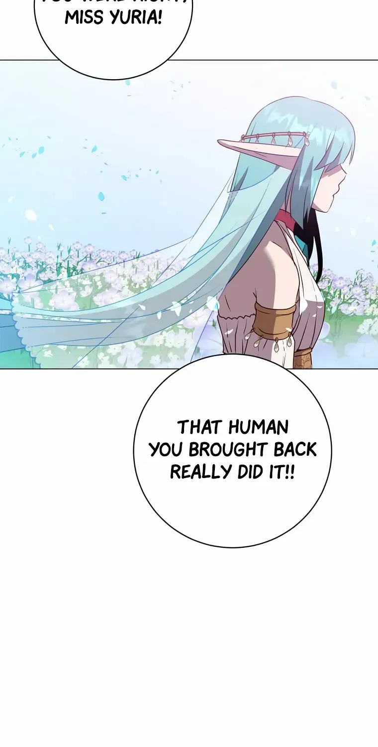 Read The Max Level Hero Has Returned! chapter 139 image 25 on Lezhin